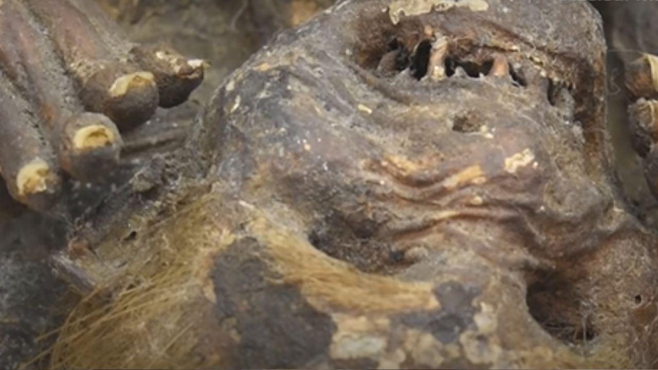 286 anos depois, começa a ser desvendada a “múmia sereia” do japão