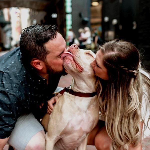 Cachorro é padrinho de casamento e rouba a cena nas fotos da festa