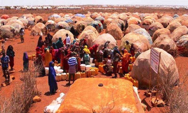Guerra já afeta segurança alimentar na África e no Oriente Médio
