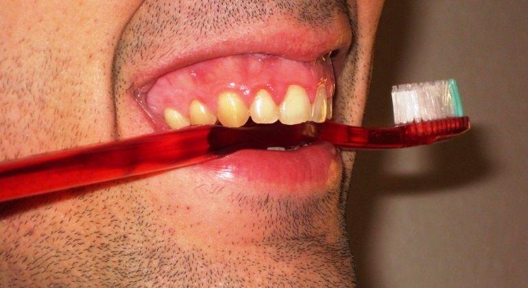 Manter a higiene da boca em dia pode ajudar na prevenção do câncer de intestino