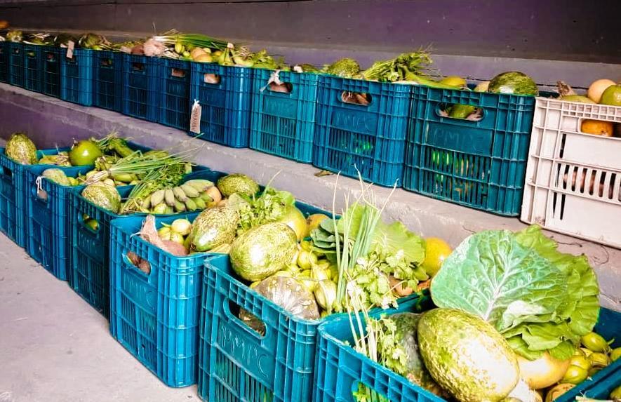 Mais de 665 famílias são contempladas com Programa PAA em Pedro Canário, ES