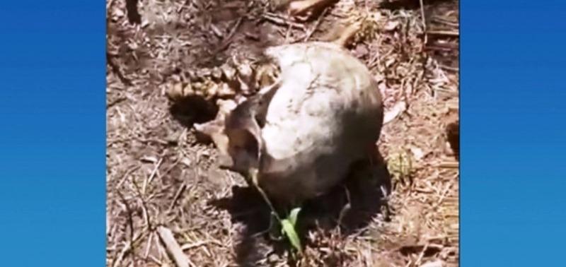 Ossada humana é encontrada em rua de Cariacica, ES