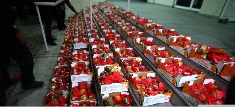 Justiça anula apreensão de 700 kg de cocaína em mangas após entrada de policiais em galpão sem mandado