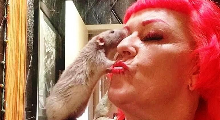 Mulher cria 50 ratos dentro de casa e ainda dá banho nos pets na pia da cozinha