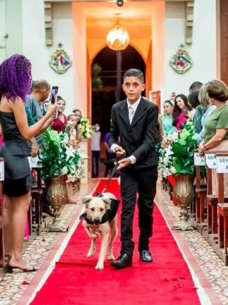 Padre encerra casamento após ver cães com alianças
