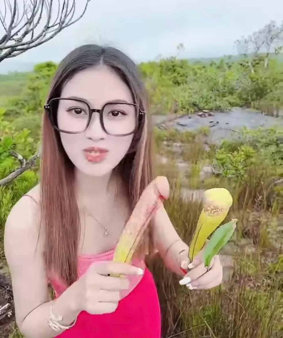 Camboja pede que turistas parem de colher 'planta pênis' para fazer fotos