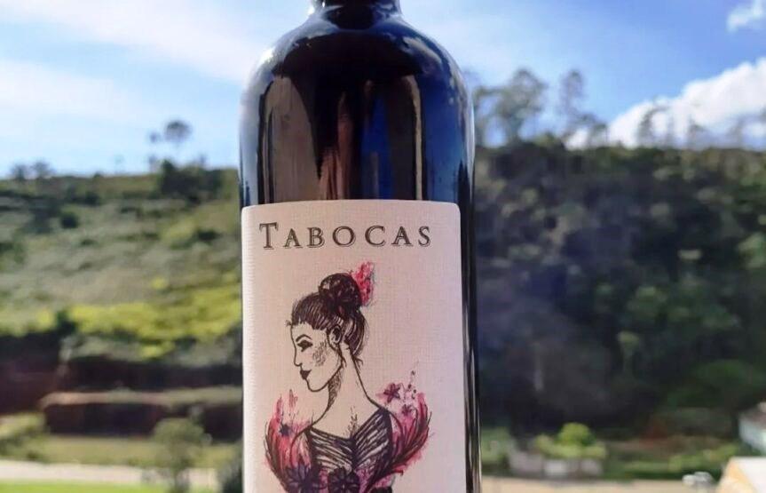 Santa Teresa é o maior produtor de uvas e vinho do Espírito Santo
