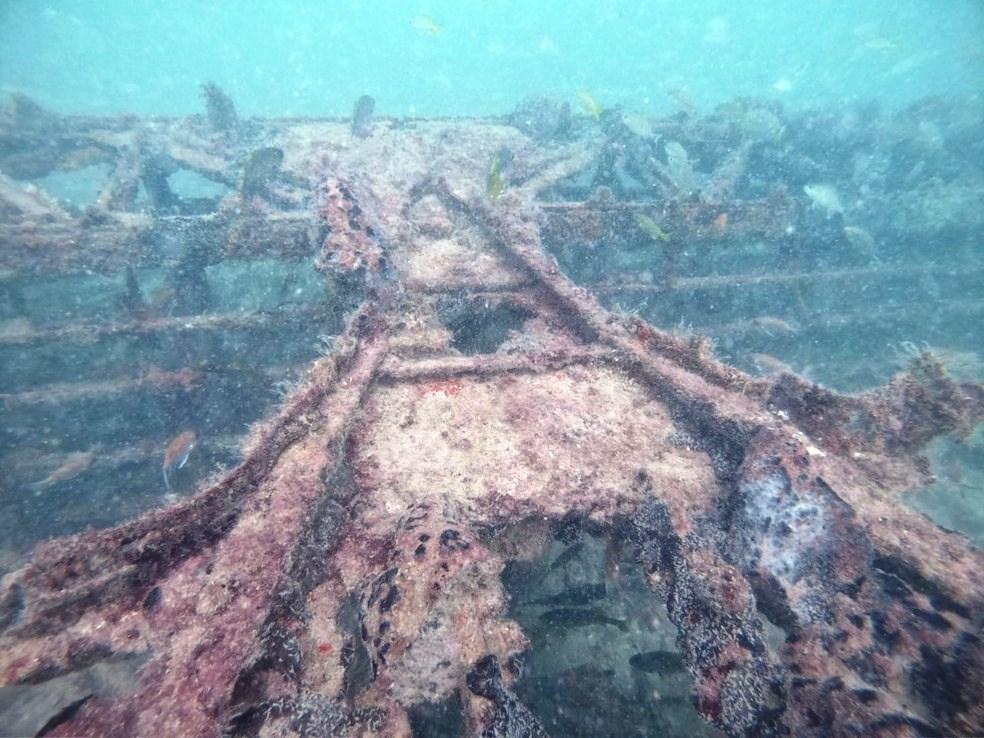 Avião americano que caiu durante a 2ª Guerra Mundial é encontrado 80 anos depois no litoral do RN