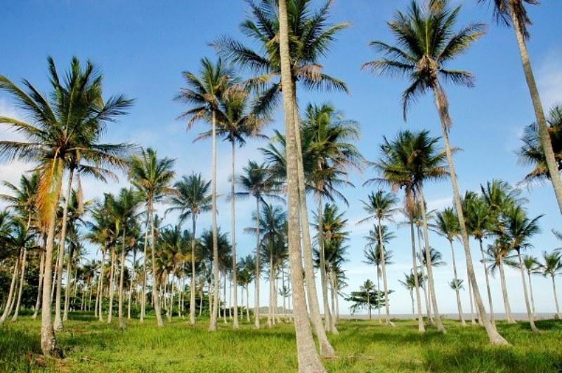 Municípios do ES avançam na categorização do Ministério do Turismo