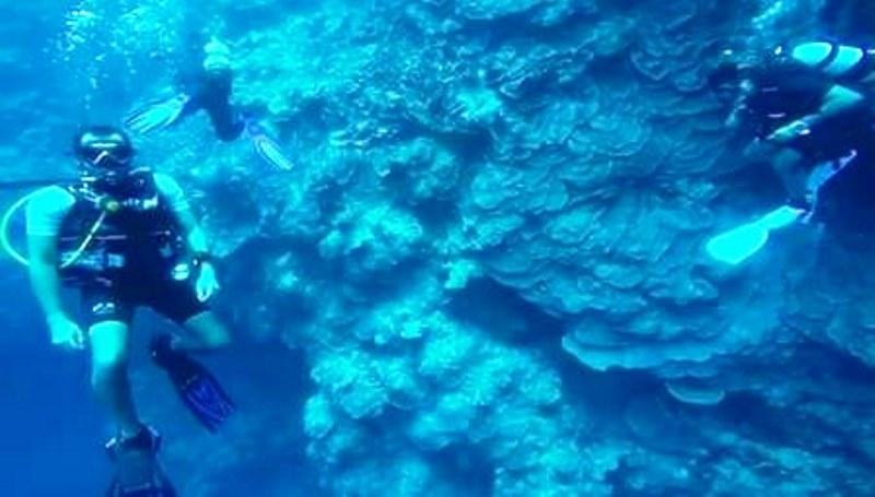 ‘Amaldiçoado’ Buraco Azul no Mar Vermelho já matou centenas de pessoas