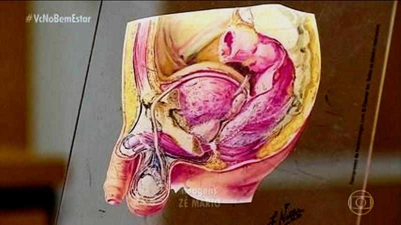 Cerca de 515 homens tem pênis amputado por ano em decorrência do câncer no órgão genital