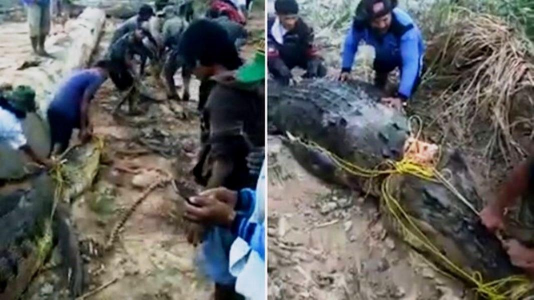 Corpo de pescador desaparecido é encontrado dentro de crocodilo gigante