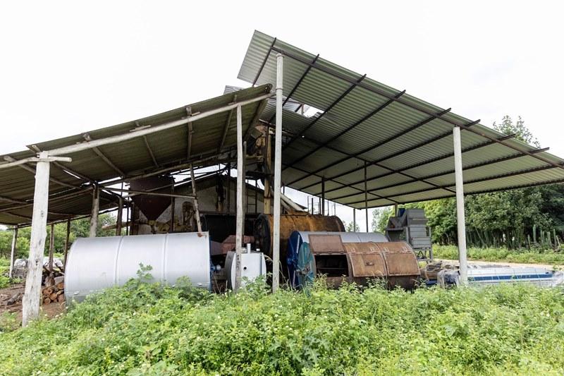 Famílias recebem apoio para ampliar produção de café e pimenta-do-reino, no ES