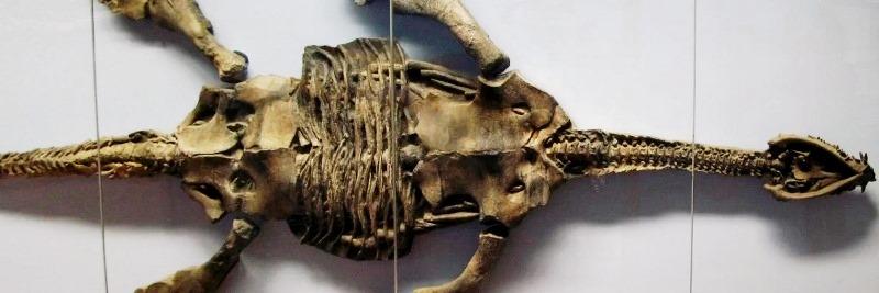 Monstro do Lago Ness: Estudos indicam que mito pode ser plausível