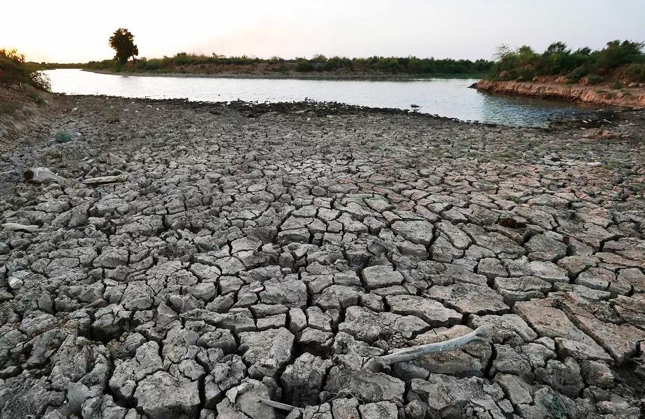 Após seca de 3 anos, lendário Jardim do Éden está virando um deserto, no Iraque