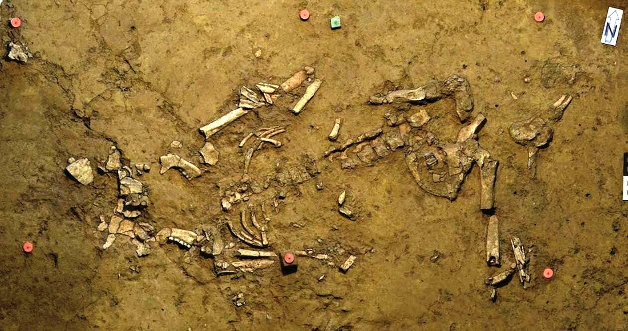 Arqueólogos encontram túmulo de 4,5 anos a.C. com anel de ouro, na Alemanha