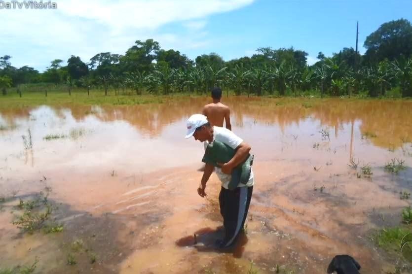 Laudo aponta que peixes do Rio Doce continuam contaminados