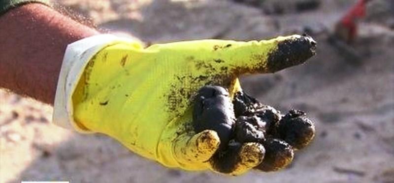 Óleo nas praias: ‘Bolotas’ de óleo são achadas em praias de Pernambuco