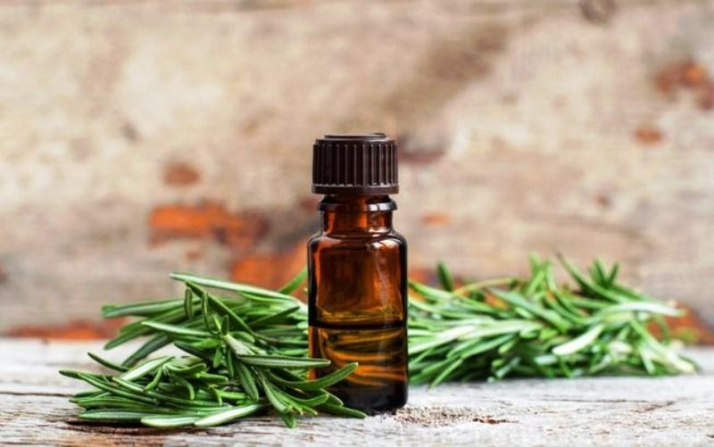 Aromaterapia: conheça a função de 5 óleos essenciais