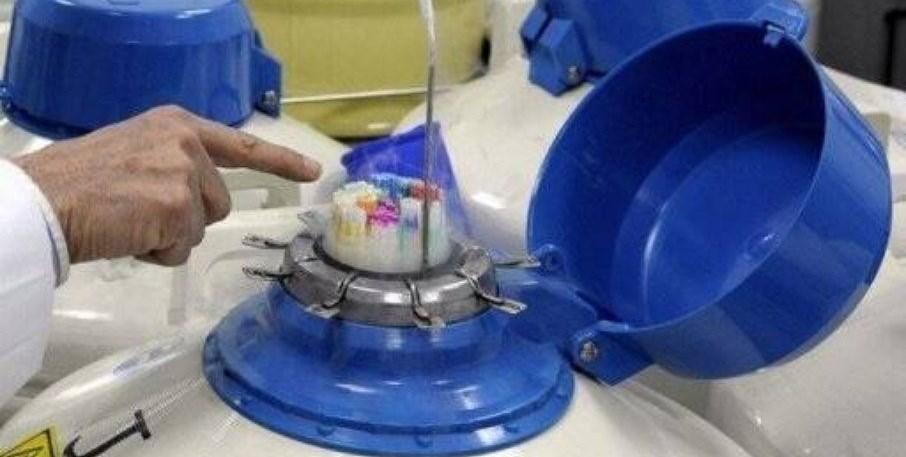 Poluição do ar pode causar infertilidade em homens