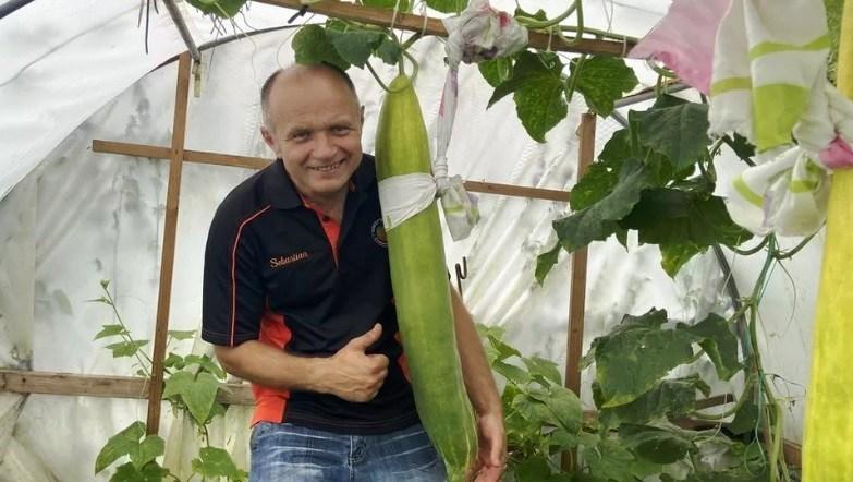 Associação reúne produtores de vegetais gigantes, na Europa