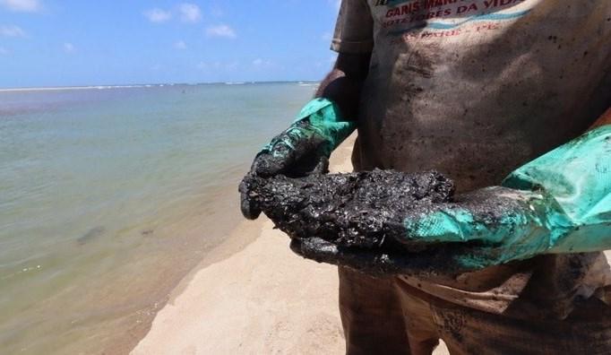 Em dois dias, duas toneladas de óleo são retiradas de praias em PE