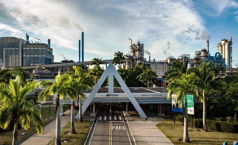 Inscrições para o Programa de Estágio Técnico 2023 da Suzano termina no próximo dia 31