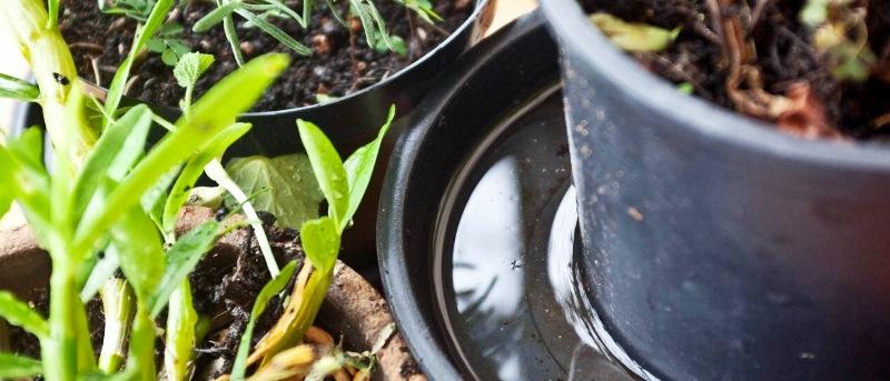 Secretaria de Saúde realiza último LIRAa de 2022 em Conceição da Barra, ES