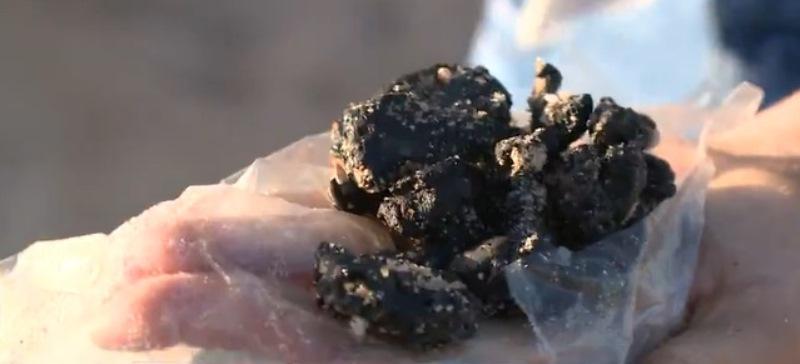 Óleo encontrado em praias do ES é diferente do visto em 2019