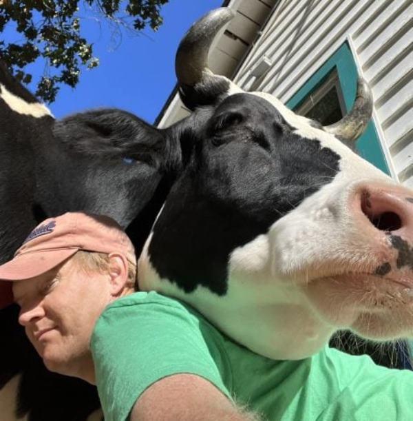 Vaca ‘invade’ casa todos os dias para dar abraço em homem