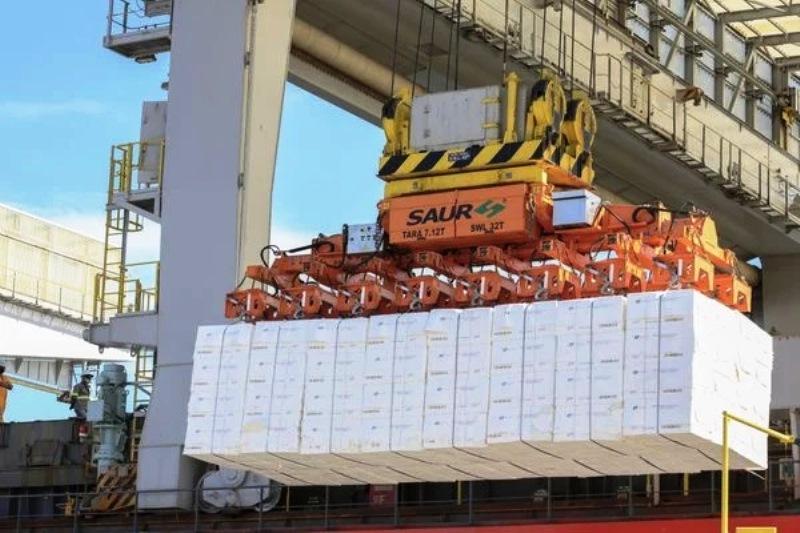 Portocel firma parceria para ampliar soluções inovadoras em logística portuária