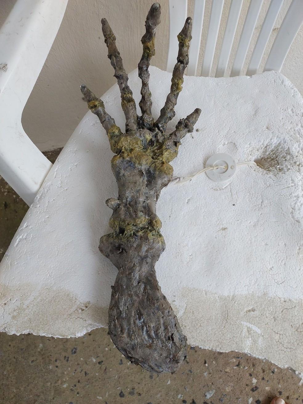 Esqueleto encontrado em praia no litoral de SP intriga banhistas