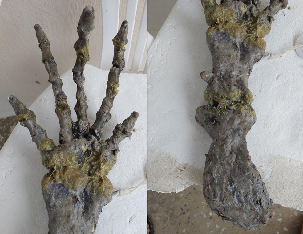 Esqueleto encontrado em praia no litoral de SP intriga banhistas