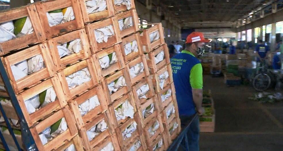 Ceasa tem aumento de preço e dificuldade para receber produtos por causa das chuvas no ES