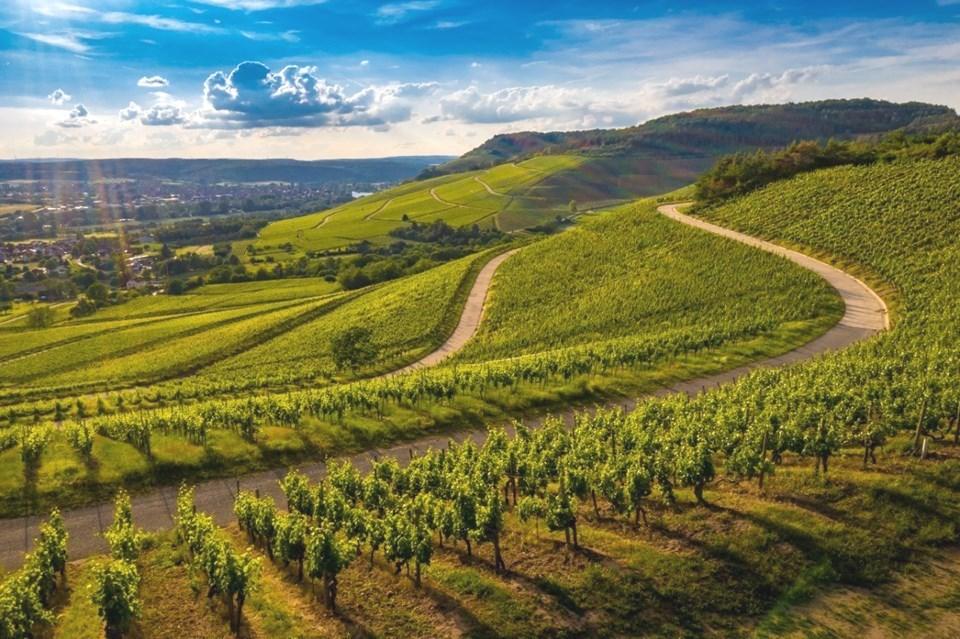 Pessoa física poderá investir em condomínio de produção rural no Espírito Santo