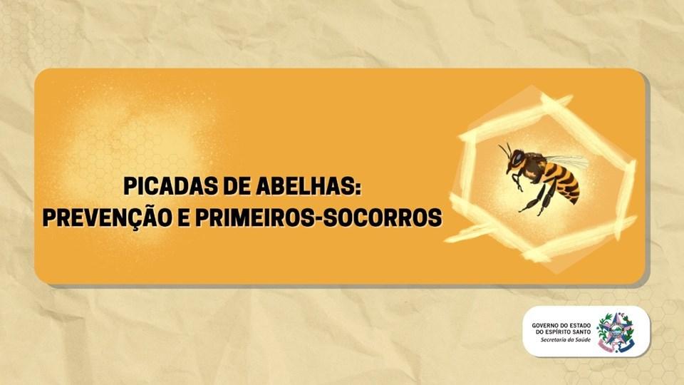 Espírito Santo registra maior número de óbito por picada de abelhas nos últimos seis anos