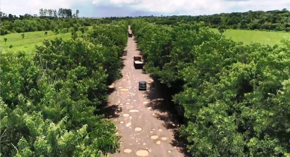 Rodovia esburacada no ES vira desvio da BR-101 e asfalto fica ainda pior; ‘Mais fácil passar no meio das árvores’