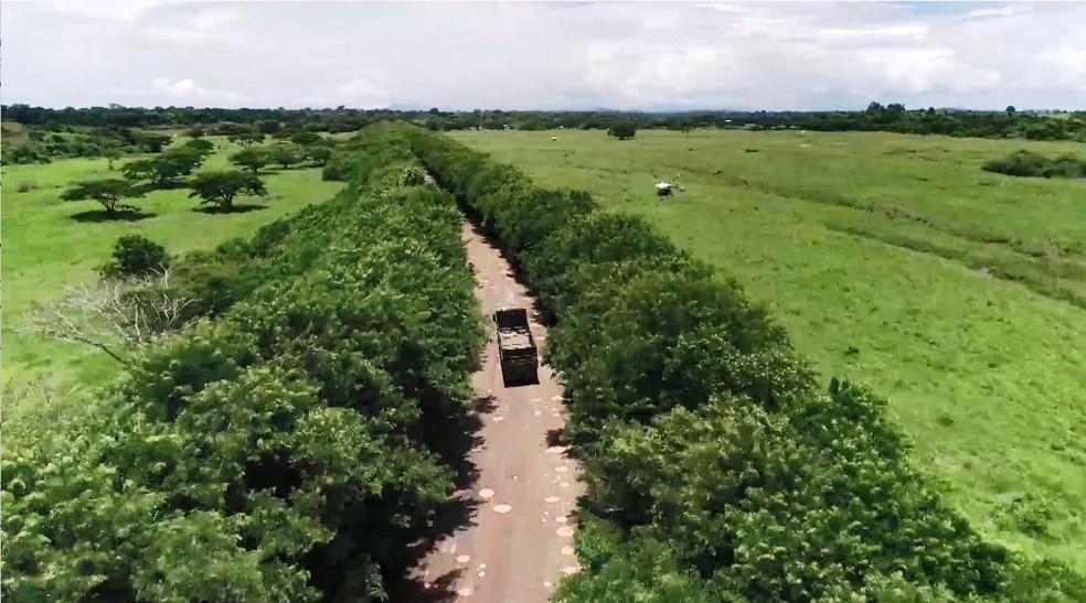 Rodovia esburacada no ES vira desvio da BR-101 e asfalto fica ainda pior; ‘Mais fácil passar no meio das árvores’