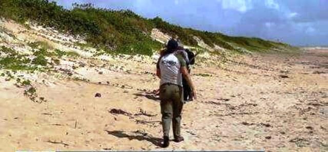 Mais de meia tonelada de óleo é retirada de praia berçário de tartarugas marinhas, em Guriri, no ES