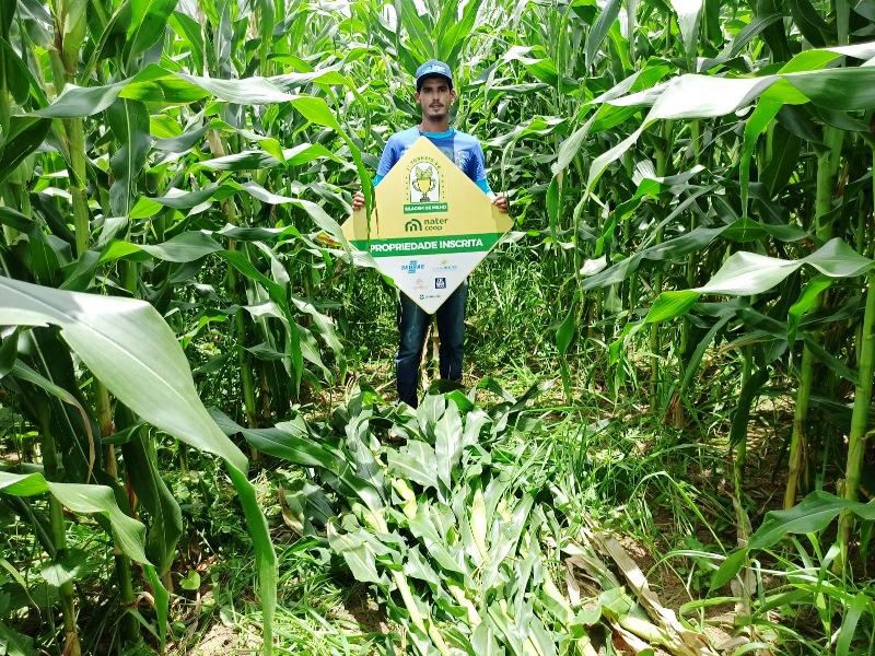 Nater Coop premia produtores em Torneio de Silagem no Norte do ES