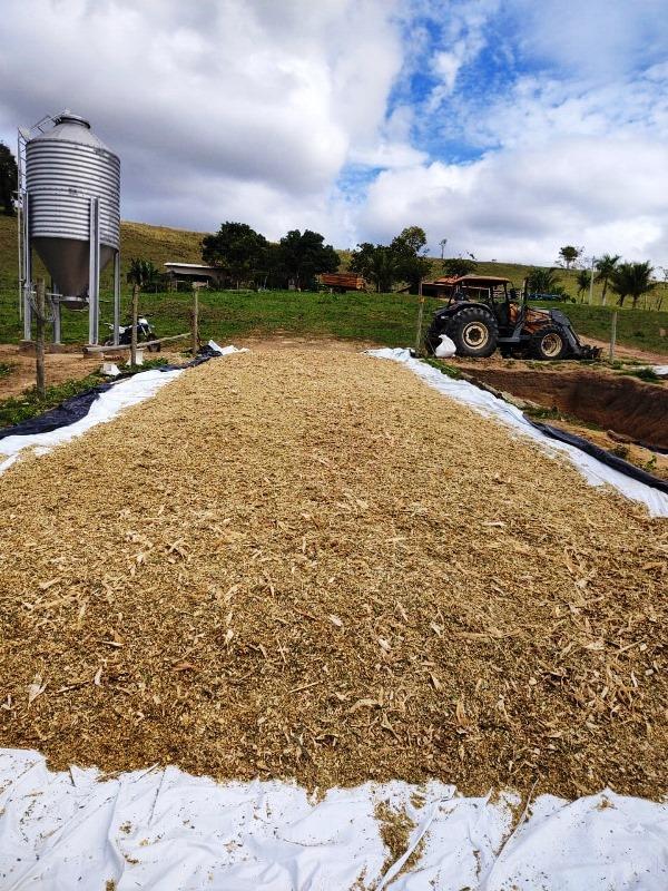 Nater Coop premia produtores em Torneio de Silagem no Norte do ES
