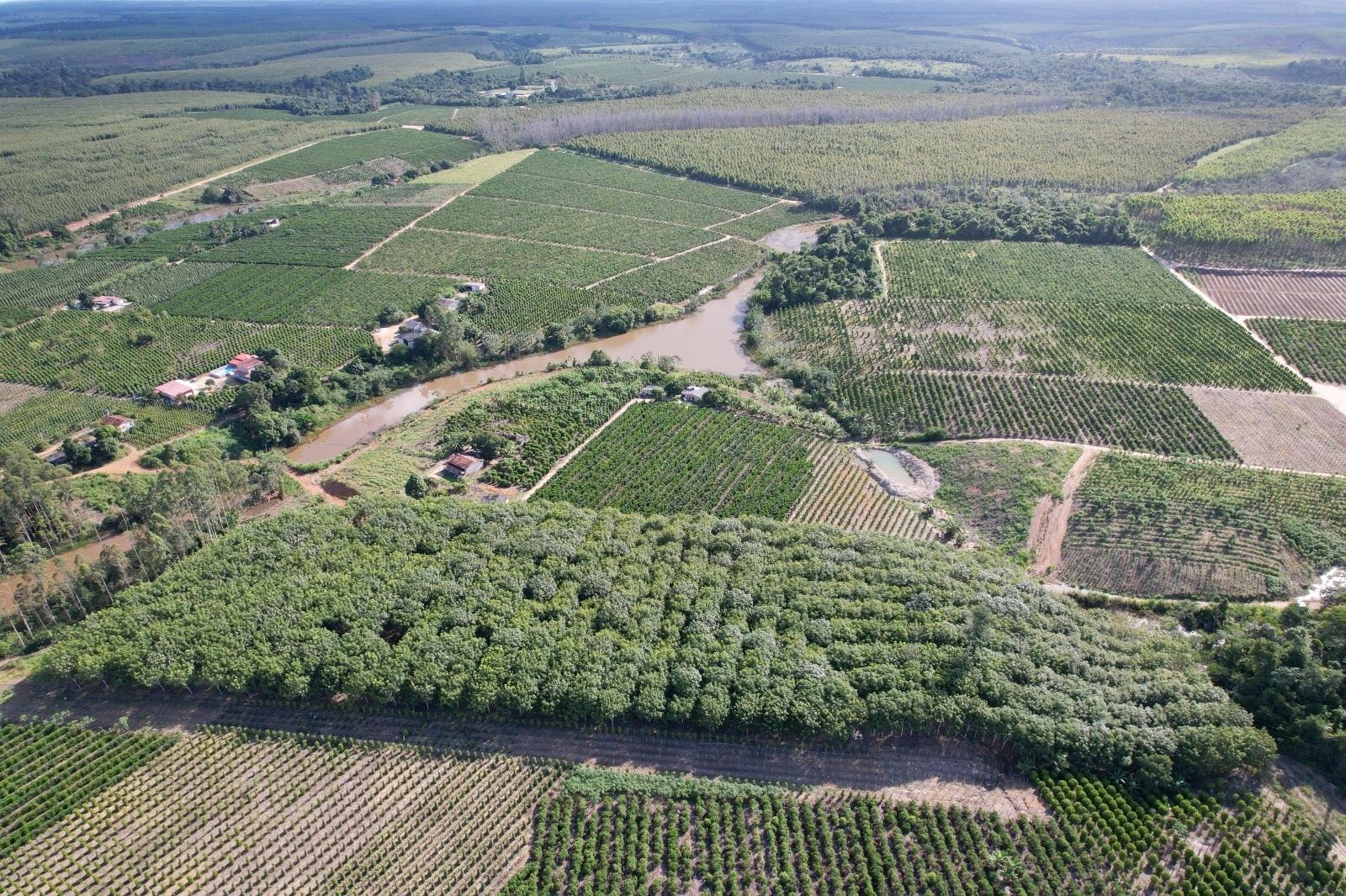 São Mateus, ES, é a melhor cidade do Espírito Santo para fazer negócios no agro, aponta revista exame