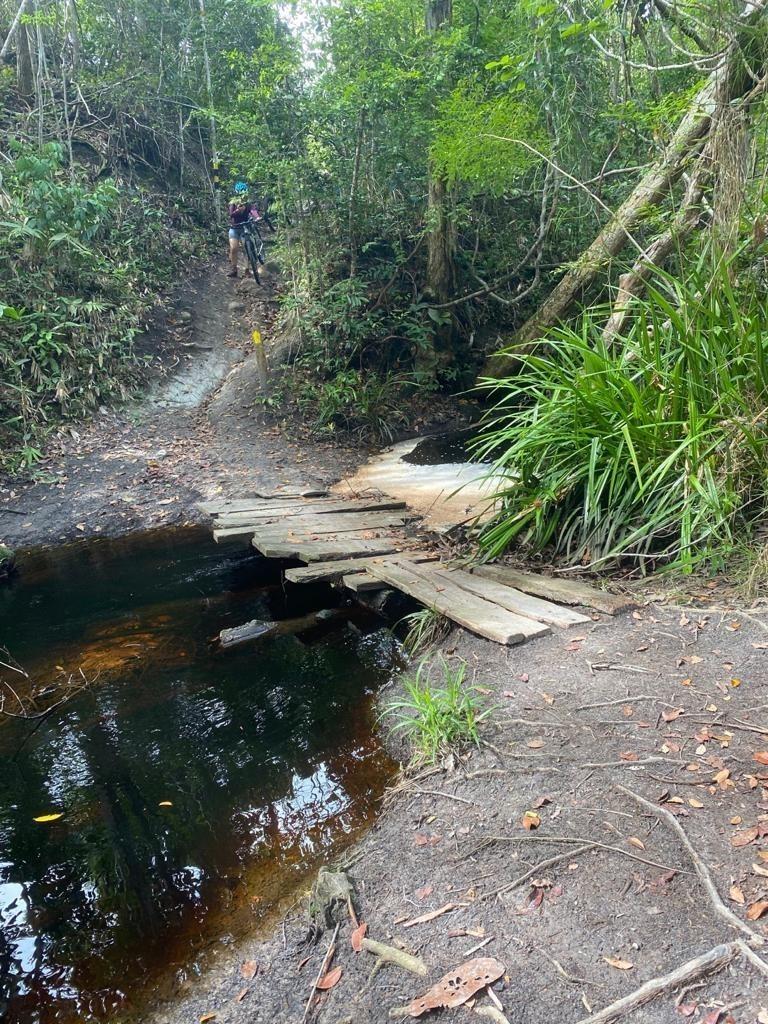 Parque Estadual de Itaúnas realizada caminhada na trilha neste sábado (11)