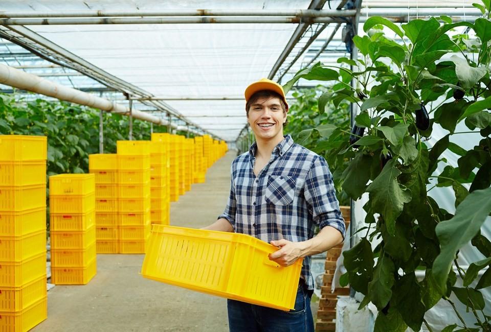 Bandes oferece novas linhas de financiamento para a agroindústria