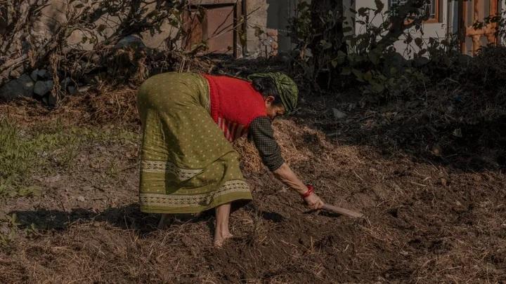 Família quadrúpede: turcos que andam de quatro geram polêmica na ciência