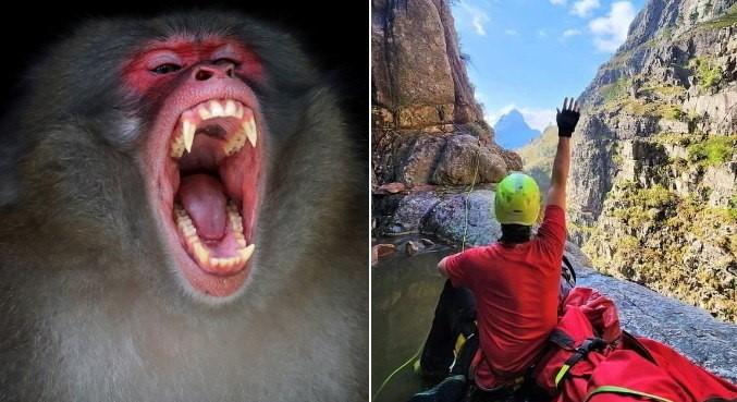 Alpinistas quebram as pernas após serem atacados com pedras por babuínos furiosos
