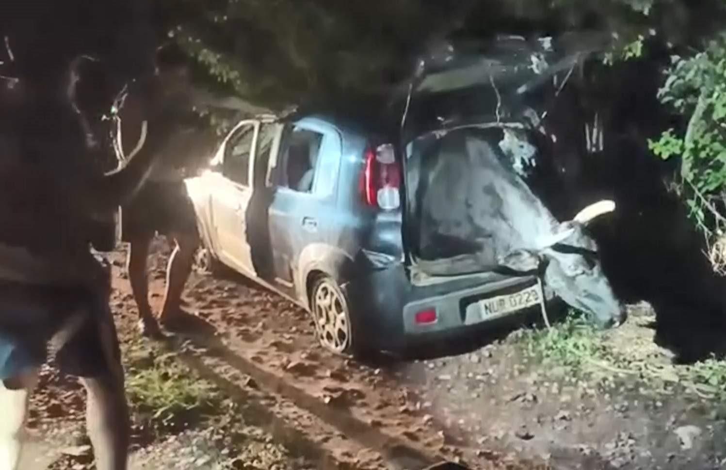 Boi roubado é resgatado de porta-mala de Fiat Uno