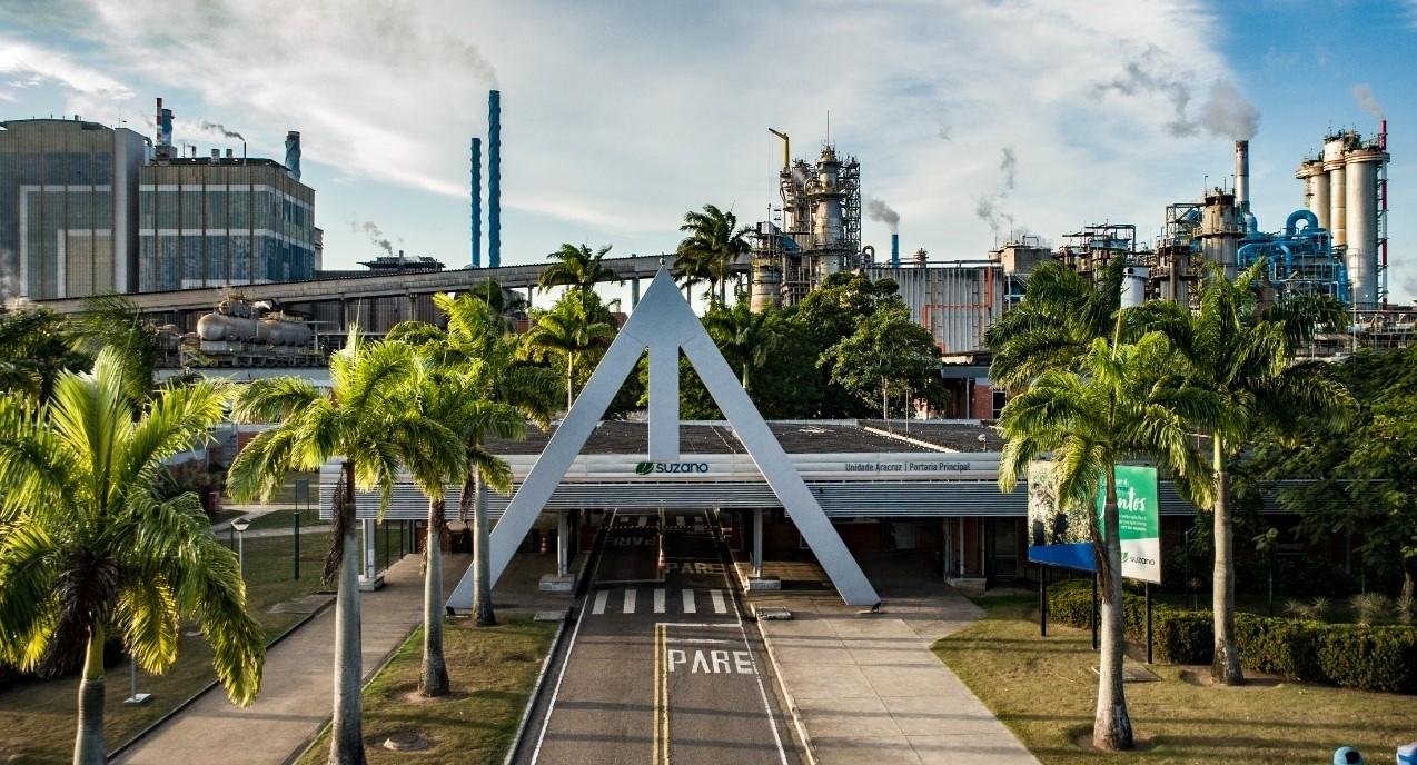 Suzano abre inscrições para Programas de Estágio 2023