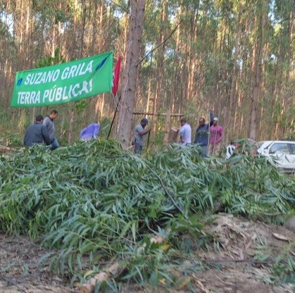 MST invade duas áreas de terras produtivas em Aracruz, no ES