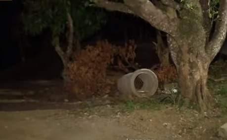 Recém-nascida é encontrada dentro de caixa em terreno da Serra